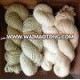 Cotton Combed Yarn